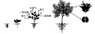 南宫娱乐