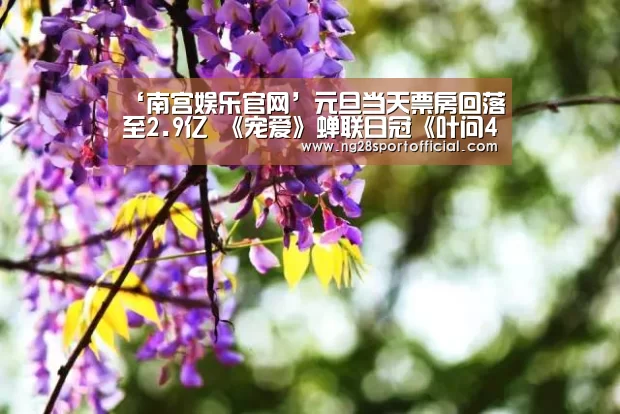 ‘南宫娱乐官网’元旦当天票房回落至2.9亿 《宠爱》蝉联日冠《叶问4》票房破8亿大关(图3) 南宫娱乐官网