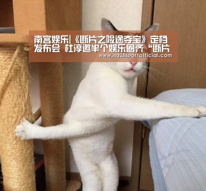 南宫娱乐|《断片之险途夺宝》定档发布会 杜淳邀半个娱乐圈齐“断片”(图4) ng南宫
