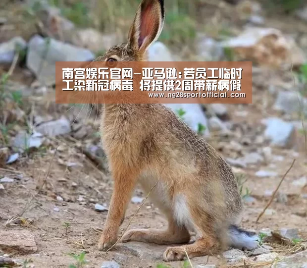 南宫娱乐官网-亚马逊:若员工临时工染新冠病毒 将提供2周带薪